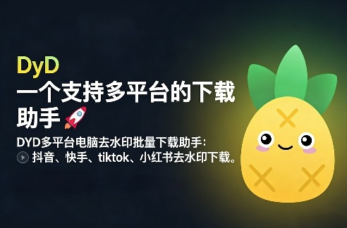 DYD多平台电脑去水印批量下载助手：抖音、快手、tiktok、小红书去水印下载-鼎铸网