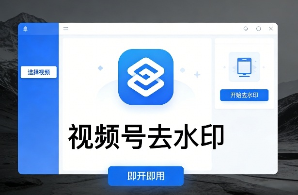 视频号去水印软件，电脑软件，即开即用-鼎铸网