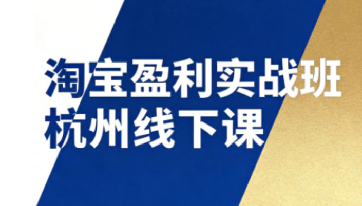 淘宝盈利实战班杭州线下课12月26-28日(音频+字幕)，帮你掌握SOP流程+12门核心技术-鼎铸网