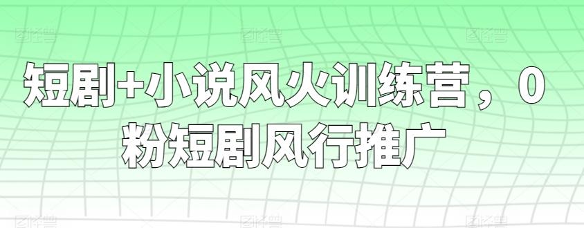 短剧+小说风火训练营，0粉短剧风行推广-鼎铸网