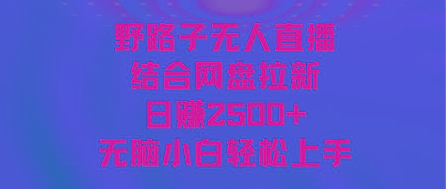 无人直播野路子结合网盘拉新，日赚2500+多平台变现，小白无脑轻松上手操作-鼎铸网