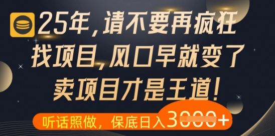 什么？25年你还在疯狂找项目做，醒醒吧，看完这些你全都懂了【揭秘】-鼎铸网