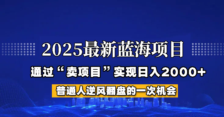 2025年蓝海项目，如何通过“网创项目”日入2000+-鼎铸网