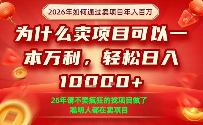 一单净利润1K+，26年想年入100个W，死磕卖项目就够了【揭秘】-鼎铸网