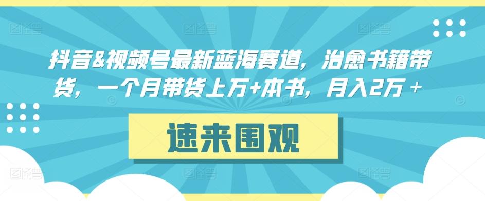 抖音&视频号最新蓝海赛道，治愈书籍带货，一个月带货上万+本书，月入2万＋【揭秘】-鼎铸网