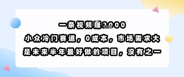 一条视频挣1k，小众冷门赛道，0成本，市场需求大，是未来半年最好做的项目，没有之一-鼎铸网