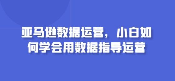 亚马逊数据运营，小白如何学会用数据指导运营-鼎铸网