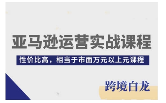 亚马逊运营实战课程，亚马逊从入门到精通，性价比高，相当于市面万元以上元课程-鼎铸网