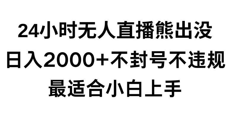 快手24小时无人直播熊出没，不封直播间，不违规，日入2000+，最适合小白上手，保姆式教学【揭秘】-鼎铸网