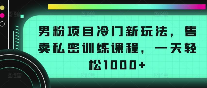 男粉项目冷门新玩法，售卖私密训练课程，一天轻松1000+【揭秘】-鼎铸网