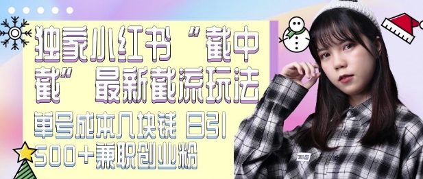 最新小红书截流玩法 独家截中截 单号成本几块钱 日引500+CY粉JZ粉-鼎铸网