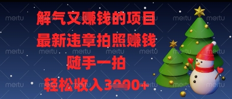 解气又挣钱的项目，最新违章拍照挣钱，随手一拍，轻松收入多张【揭秘】-鼎铸网