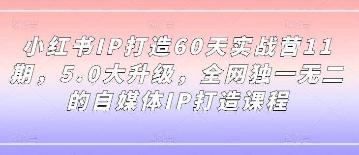 小红书IP打造60天实战营11期，5.0大升级，全网独一无二的自媒体IP打造课程-鼎铸网