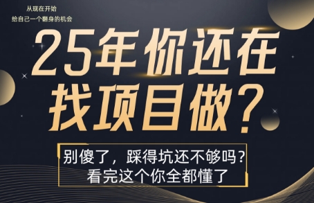 25年，你还在疯狂的找项目吗？别傻了，看完这个你都懂了【揭秘】-鼎铸网