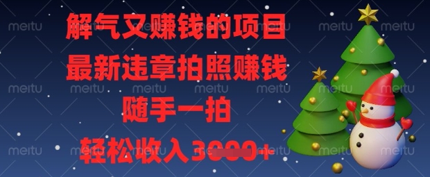 解气又挣钱的项目，最新违章拍照挣钱，随手一拍，轻松收入数张【揭秘】-鼎铸网