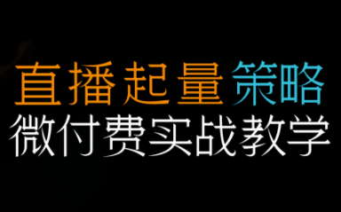 半野老师·直播带货起量与微付费必学课视频号-鼎铸网