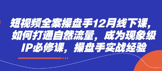 短视频全案操盘手12月线下课，如何打通自然流量，成为现象级IP必修课，操盘手实战经验-鼎铸网
