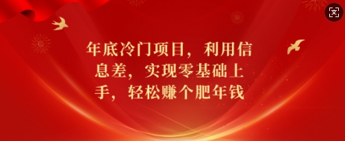 年底冷门项目，利用信息差，实现零基础上手，轻松赚个肥年钱【揭秘】-鼎铸网