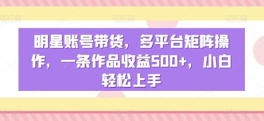 明星账号带货，多平台矩阵操作，一条作品收益500+，小白轻松上手【揭秘】-鼎铸网