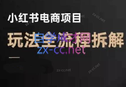 菲菲老师·小红书电商玩法(更新9月)-鼎铸网