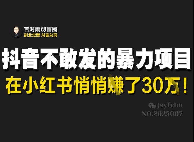 抖音不敢发的暴利项目，在小红书悄悄挣了30W-鼎铸网