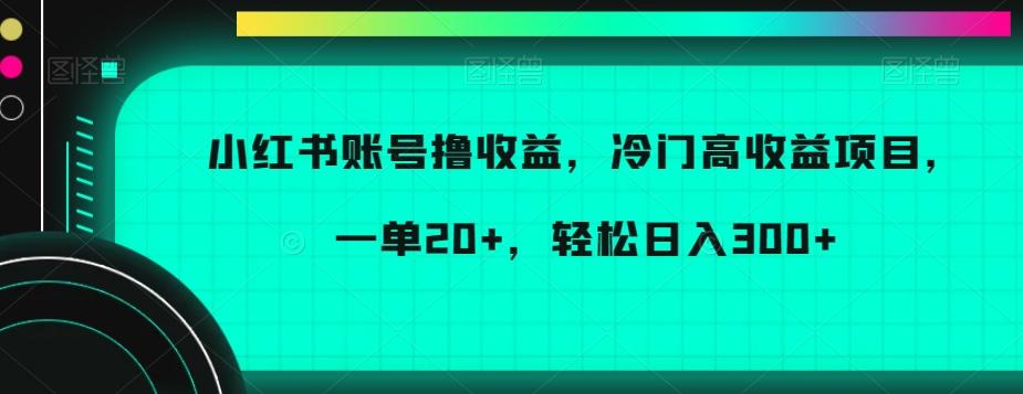 小红书账号撸收益，冷门高收益项目，一单20+，轻松日入300+【揭秘】-鼎铸网