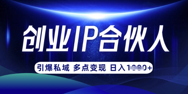 云帆·创业ip合伙人打造3.0，从0到1教你做网创，实现月入过W-鼎铸网