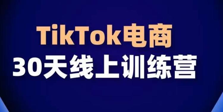 TikTok电商带货30天线上课，不可错过的全球流量洼地！-鼎铸网