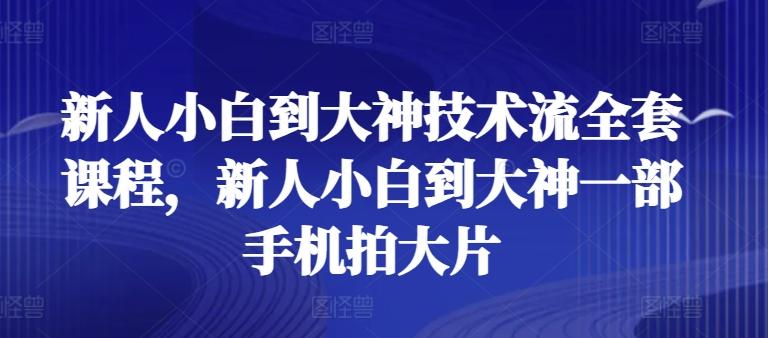 新人小白到大神技术流全套课程，新人小白到大神一部手机拍大片-鼎铸网