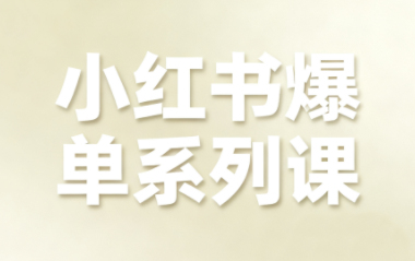 尼采老师·小红书爆单系列课-鼎铸网