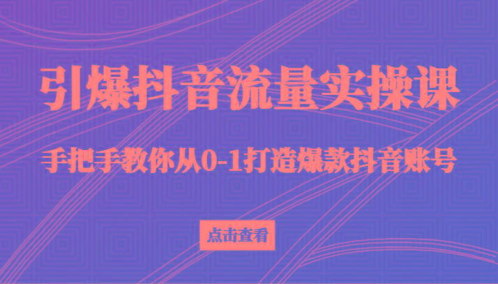 引爆抖音流量实操课，手把手教你从0-1打造爆款抖音账号(27节课)-鼎铸网