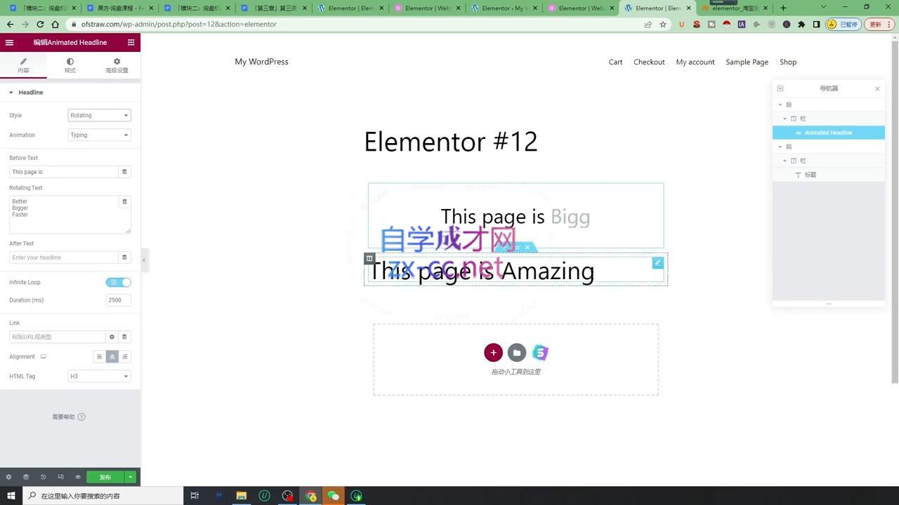 黑方老师·谷歌B端独立站建站推广