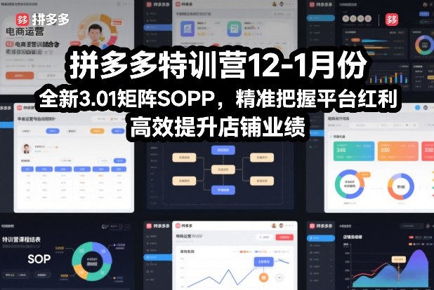 拼多多特训营12-1月份，全新3.01矩阵Sop，精准把握平台红利，高效提升店铺业绩-鼎铸网