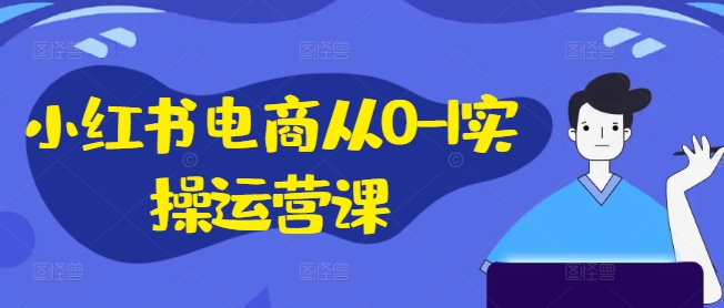 小红书电商从0-1实操运营课，小红书手机实操小红书/IP和私域课/小红书电商电脑实操板块等-鼎铸网