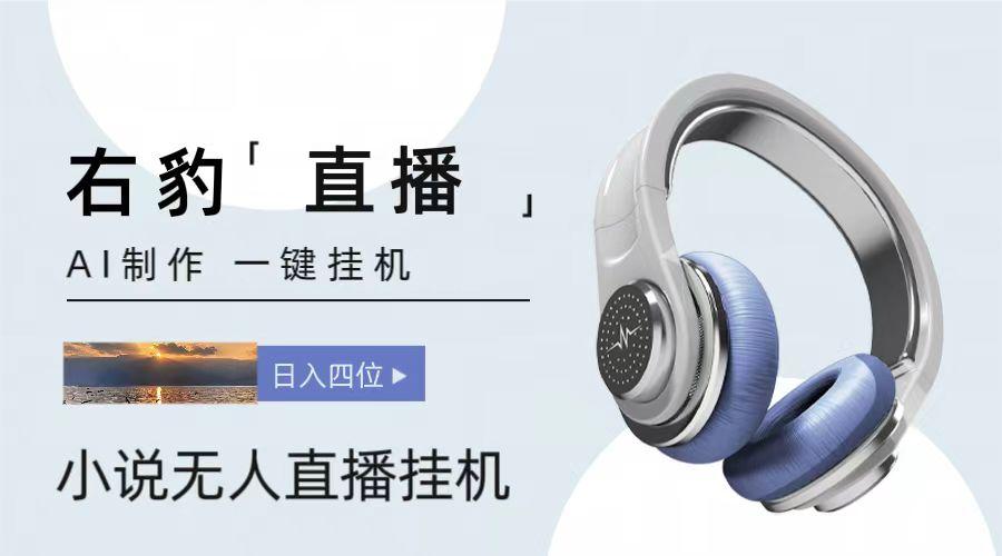 右豹小说无人直播挂机吸金项目,简单易行收益稳定, 月入1000+-鼎铸网