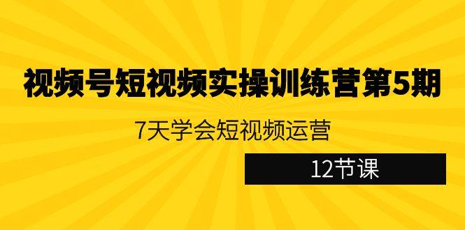 视频号短视频实操训练营第5期：7天学会短视频运营(12节课)-鼎铸网