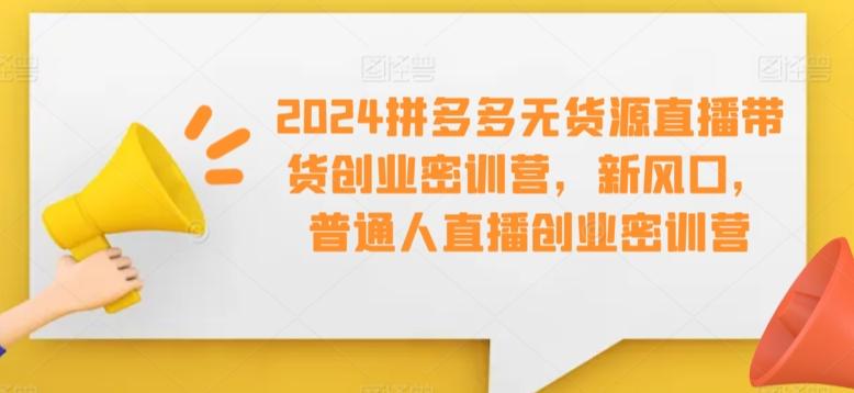 2024拼多多无货源直播带货创业密训营，新风口，普通人直播创业密训营-鼎铸网