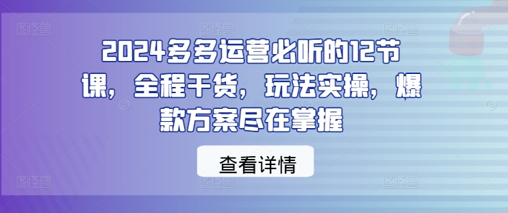 2024多多运营必听的12节课，全程干货，玩法实操，爆款方案尽在掌握-鼎铸网