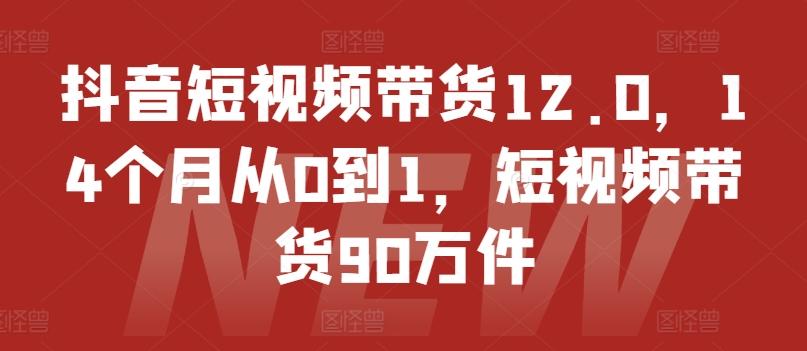 抖音短视频带货12.0，14个月从0到1，短视频带货90万件-鼎铸网