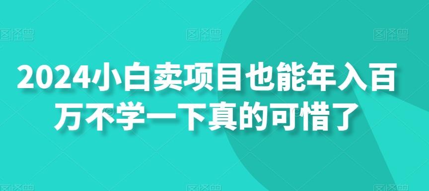 2024小白卖项目也能年入百万不学一下真的可惜了-鼎铸网