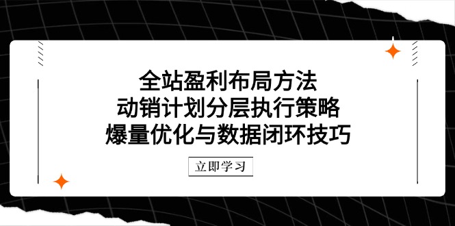 全站盈利布局方法：动销计划分层执行策略，爆量优化与数据闭环技巧-鼎铸网