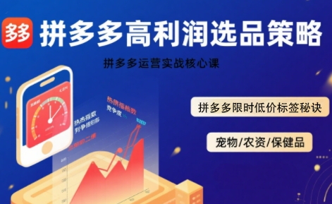拼多多选品暴利技术实战课，拼多多高利润选品策略，拼多多限时低价标签秘诀-鼎铸网