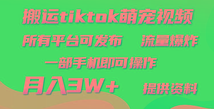 (9618期)搬运Tiktok萌宠类视频，一部手机即可。所有短视频平台均可操作，月入3W+-鼎铸网
