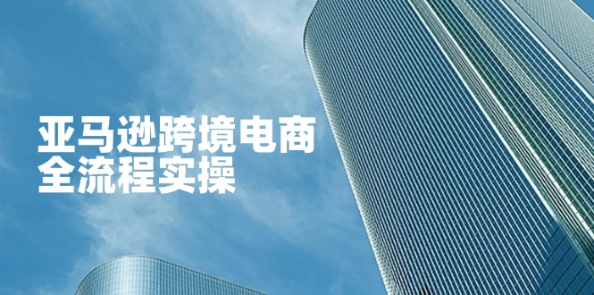 亚马逊跨境电商全流程实操，教你从零开始，掌握店铺运营与广告技巧-鼎铸网