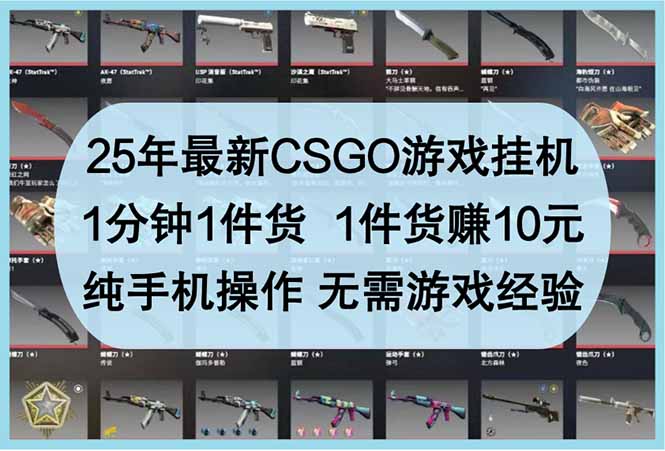 25年最新CSGO游戏挂机，1分钟1件货，1件货赚10元 纯手机操作 无需游戏经验-鼎铸网