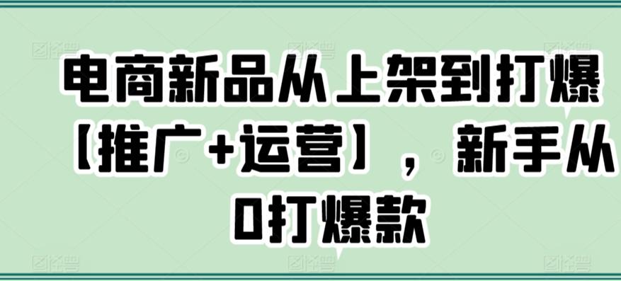 电商新品从上架到打爆【推广+运营】，新手从0打爆款-鼎铸网