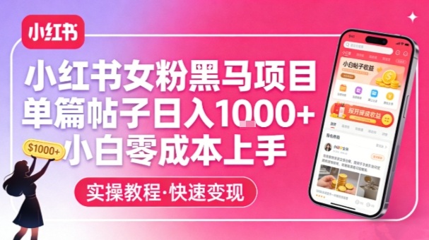 小红书女粉黑马项目，单篇帖子日入1k+，小白零成本上手-鼎铸网