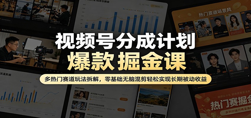 视频号分成计划爆款掘金课：多热门赛道玩法拆解，零基础无脑混剪轻松实现长期被动收益-鼎铸网