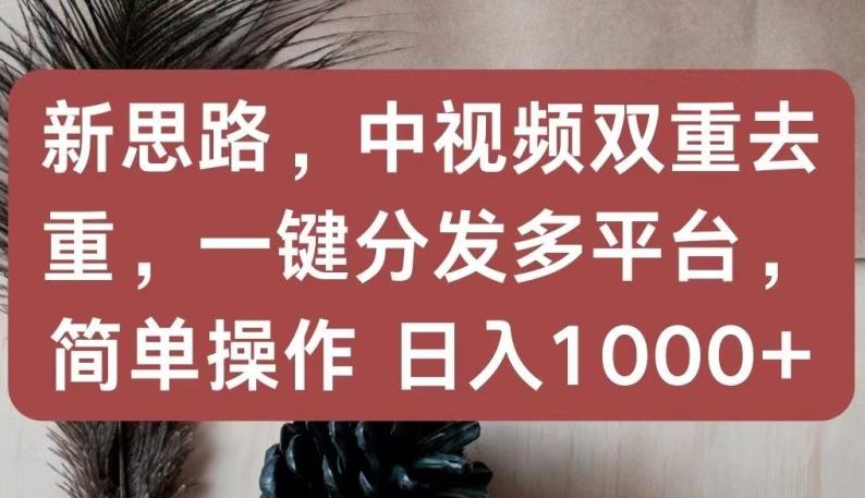 新思路，中视频双重去重，一键分发多平台，简单操作，日入1000+【揭秘】-鼎铸网