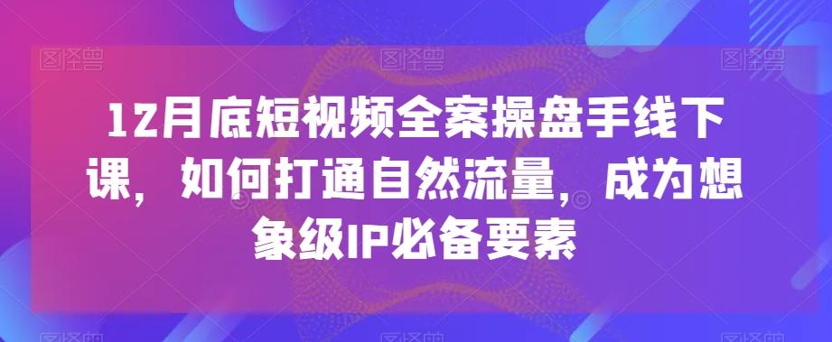 12月底短视频全案操盘手线下课，如何打通自然流量，成为想象级IP必备要素-鼎铸网